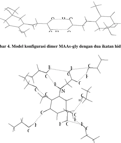 Gambar 4. Model konfigurasi dimer MAAs-gly dengan dua ikatan hidrogen 