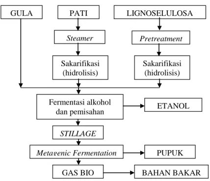 Gambar 1. Tahapan proses bioetanol berdasarkan bahan bakunya  Sumber : Anindyawati, 2009 GULA  PATI  ETANOL  BAHAN BAKAR PUPUK Pretreatment Steamer STILLAGE GAS BIO LIGNOSELULOSA Metagenic Fermentation Fermentasi alkohol dan pemisahan Sakarifikasi (hidroli