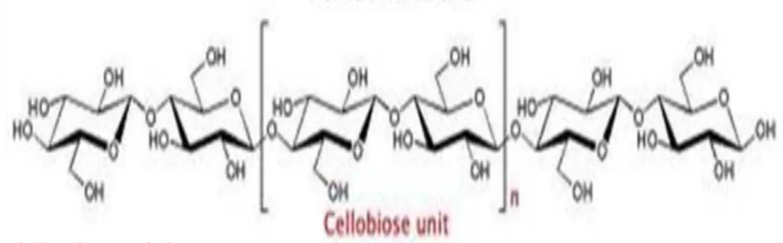 Gambar 3.Struktur selulosa  Sumber : Hidayat, 2009 