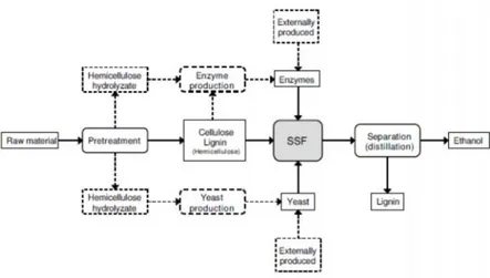 Gambar 12.  Tahapan proses pembuatan etanol dengan metode SSF (Olofsson, et al., 2008).