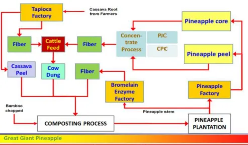Gambar 2. Manejemen pengolahan limbah pada industri pengalengan nanas Sumber: balittanah.litbang.pertanian.go.id/dokumentasi/Materi/Raker/BBSDLP