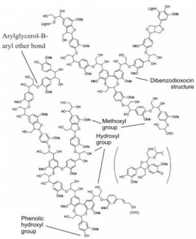 Gambar 4. Struktur kimia lignin (Brunov, 1998) 