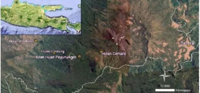 Gambar 1.  Peta  lokasi  pengamatan  burung  di  sekitar kawasan Gunung Argopuro 