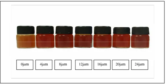 Gambar  33   Ekstrak vanili segar dengan waktu inkubasi                        enzim β-glukosidase yang berbeda 