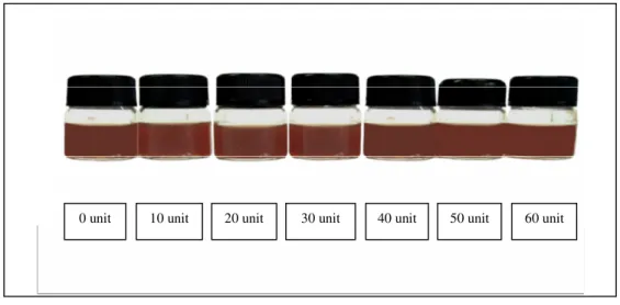 Gambar  31  Ekstrak vanili segar dengan konsentrasi enzim   β-glukosidase yang berbeda 