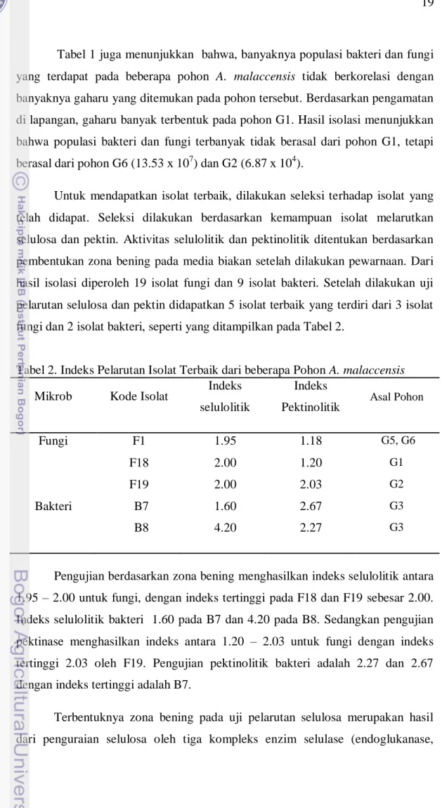 Tabel 2. Indeks Pelarutan Isolat Terbaik dari beberapa Pohon A. malaccensis  Mikrob  Kode Isolat  Indeks 
