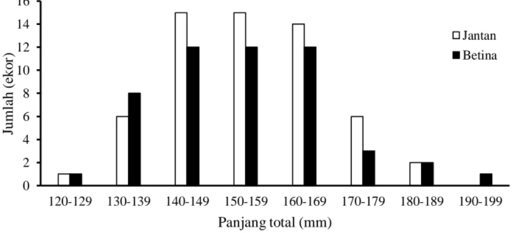 Gambar 2.  Sebaran frekuensi hasil tangkapan ikan sepat siam berdasarkan kelas ukuran panjang selama  Mei-Juli 2011 di Danau Taliwang 