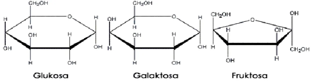Gambar 1. Struktur molekul glukosa, galaktosa dan fruktosa  