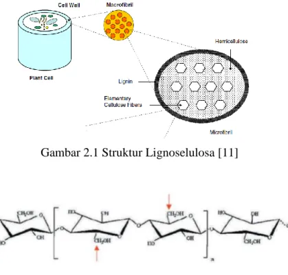 Gambar 2.1 Struktur Lignoselulosa [11] 