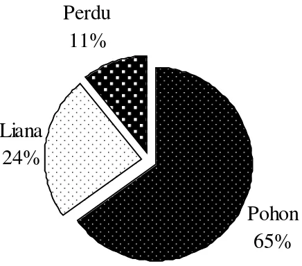 Gambar 1.  Persentase perbandingan jenis tumbuhan buah pakan orangutan Sumatera (Pongo abelii) antara pohon, liana dan perdu yang ditemukan pada jalur contoh secara sistematik (Sumber: Iskandar, 2013)