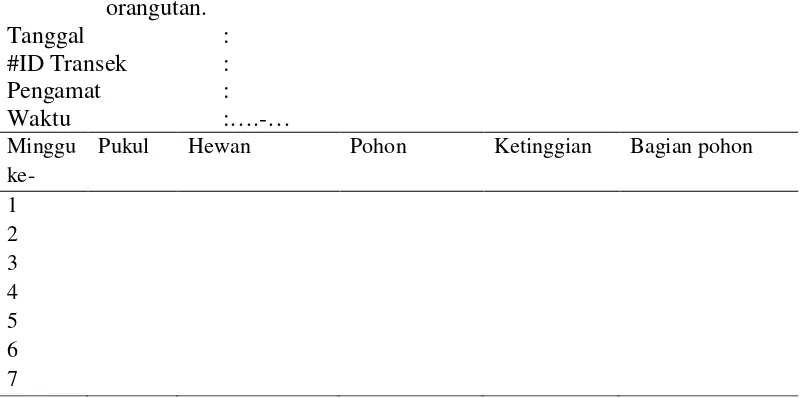 Tabel 8. Tallysheet pengamatan relung ekologi pada Ficus spp. dalam habitat orangutan
