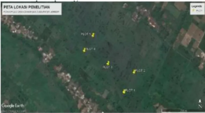 Gambar 1. Peta plot penelitian lahan Rawa di Rowopulo  (Sumber: Hasil Penandaan dengan GPS) 