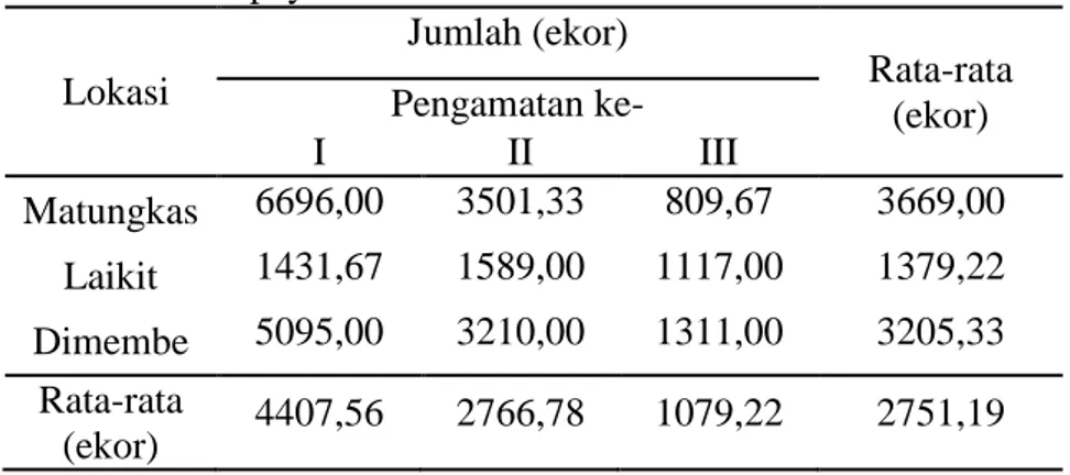 Tabel  1.    Rata-rata  Populasi  P.  marginatus  pada  Pertanaman    Pepaya Monokultur di Kecamatan Dimembe 