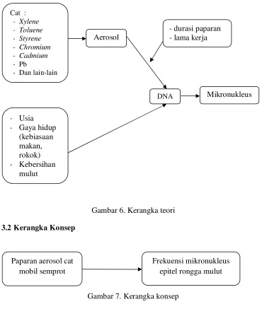 Gambar 7. Kerangka konsep 