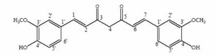Gambar 3. Struktur kimia kurkumin