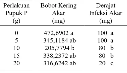 Tabel 5. Hasil Sidik Ragam Bobot Kering Akar dan Persentase Derajat Infeksi pada Akar oleh Mikoriza 