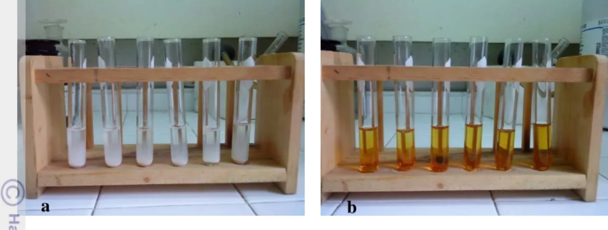 Gambar 15  Hasil analisis alkaloid secara kualitatif menggunakan reagen  Bouchardat (a) dan reagen Mayer (b) 