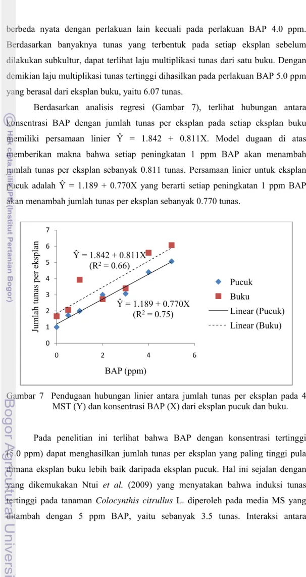 Gambar 7  Pendugaan hubungan linier antara jumlah tunas per eksplan pada 4  MST (Y) dan konsentrasi BAP (X) dari eksplan pucuk dan buku . 