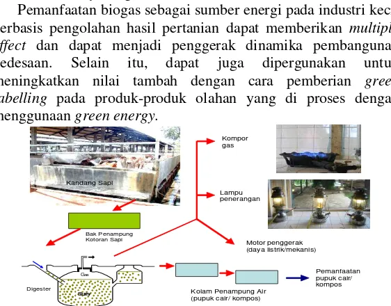 Gambar 1. Skema Pemanfaatan Energi Biogas dari Kotoran Sapi 