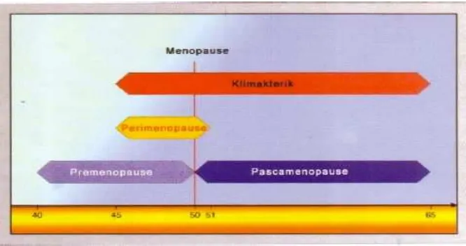 Gambar 1. Fase Menopause16