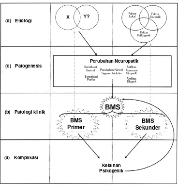 Gambar 3. Etiopatogenesis BMS 6 