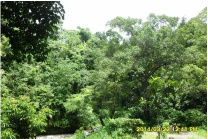 Gambar 5.5 Hasil Rehabilitasi Hutan di HKm