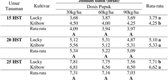 Tabel  2.  Pengaruh  Dosis  Pupuk  NPK  dan  Kultivar  Brokoli  Lucky  dan  Kribow  terhadap  rata-rata Jumlah daun Brokoli pada umur 15, 20, dan 25 hari setelah tanam (hst)