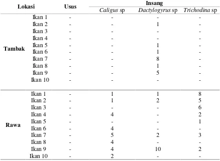 Tabel 4.2. Jenis parasit yang ditemukan pada ikan mujair di rawa dan tambakPaluh Merbau Percut Sei Tuan.