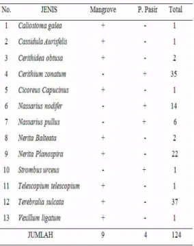 Tabel 3. Jenis Gastropoda Di Habitat  Mangrove Dan Pantai Berpasir. 