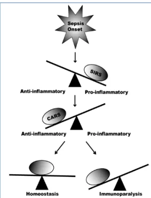 Tabel 3. Sitokin/ mediator inflamasi 