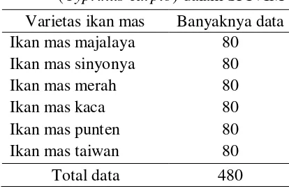 Tabel 8  Data identifikasi varietas ikan mas (Cyprinus carpio) dalam SPIVIM 