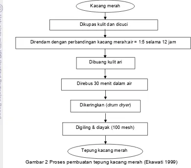 Gambar 2 Proses pembuatan tepung kacang merah (Ekawati 1999) 