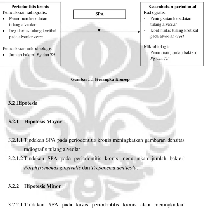 Gambar 3.1 Kerangka Konsep 