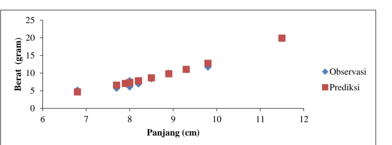 Gambar 4. Pola pertumbuhan observasi vs prediksi ikan betutu di Balee Ulim. 
