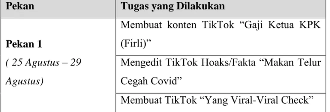 Tabel 3.1 Rincian Tugas Penulis Setiap Pekan 