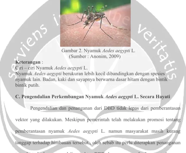 Gambar nyamuk Aedes aegypti L. dapat dilihat pada Gambar 2. 