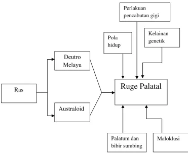 Gambar 4. Kerangka teori 