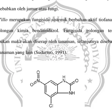 Gambar 2.1. Struktur kimia bendimidazol (Anonim, 2016). 