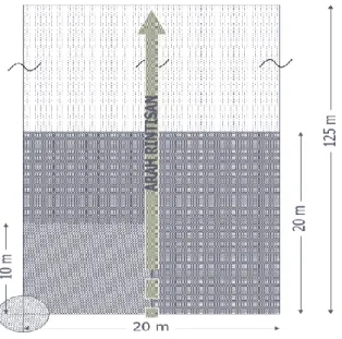 Gambar 1. Bentuk plot sampel pendugaan biomassa dan karbon di areal   IUPHHK PT Batu Karang Sakti