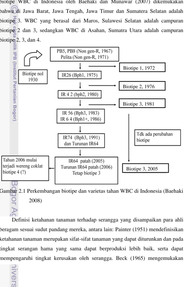 Gambar 2.1 Perkembangan biotipe dan varietas tahan WBC di Indonesia (Baehaki  2008) 