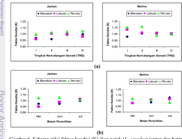 Gambar 6. Sebaran nilai faktor kondisi (K) ikan petek (L. equulus) jantan dan betina  berdasarkan tingkat kematangan gonad (a) dan waktu penelitian (b)