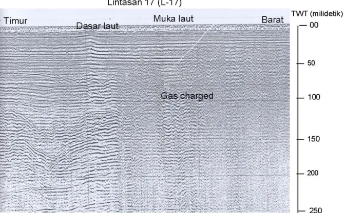 Gambar 11. Rekaman seismik dan penafsirannya (L-17).