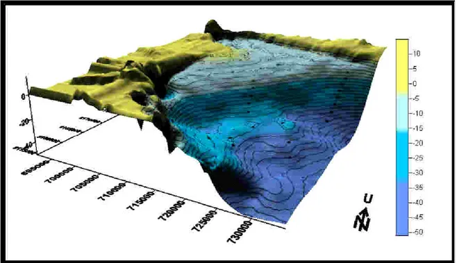 Gambar 6. Penampang 3 dimensi dasar laut daerah penelitian (Astawa drr., 2010).