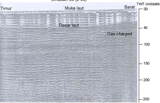 Gambar 10. Rekaman seismik dan penafsirannya (L-10).