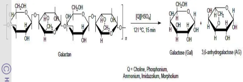 Gambar 2  Reaksi hidrolisis menggunakan H2SO4 (Kim et al. 2010) 
