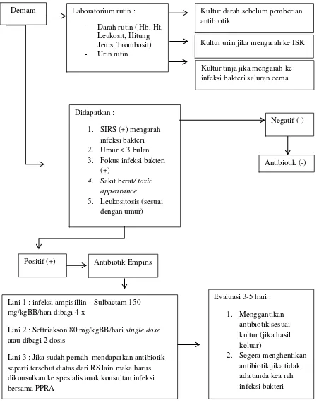 Gambar 1. Algoritme penggunaan antibiotik pada anak di Bangsal Anak RSUP Dr Kariadi (Dikutip dari pedoman penggunaan antibiotik pada anak)1 