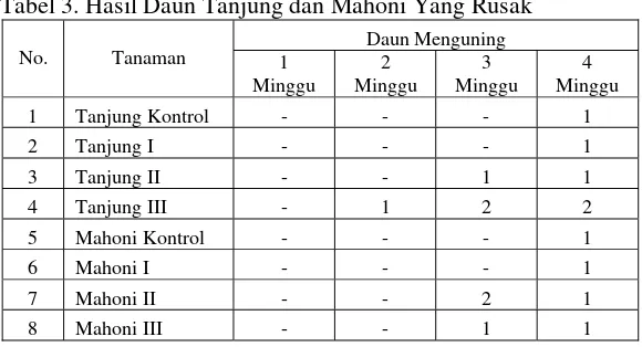 Tabel 3. Hasil Daun Tanjung dan Mahoni Yang Rusak 