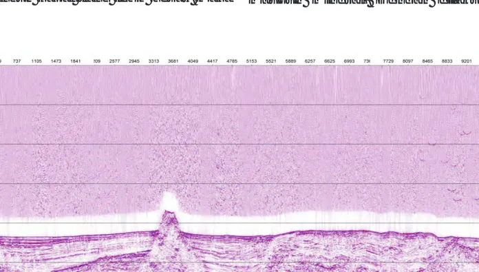 Gambar 2. Contoh rekaman seismik yang diperoleh dari perairan Wetar Lembar Peta 2408 (Subarsyah dkk, 2009)