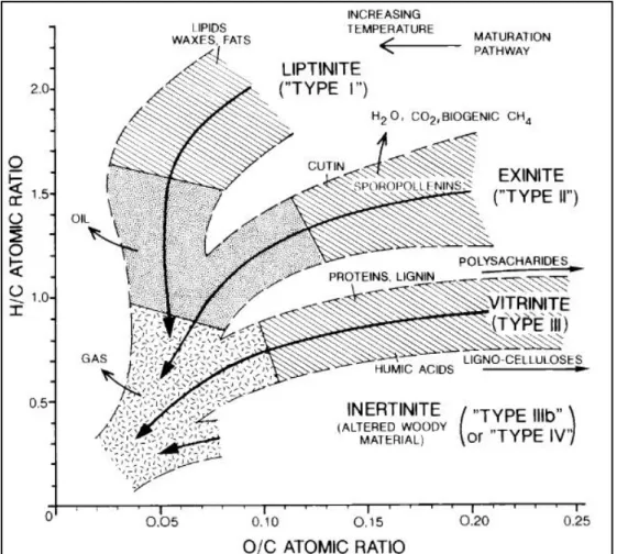 Diagram  van  Krevelen  dibuat  berdasarkan  pada  perbandingan  beberapa  tipe  komponen  kerogen yaitu C, H, dan O
