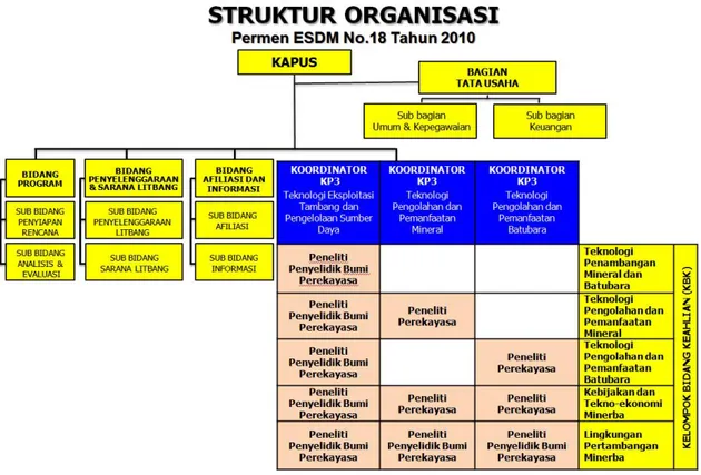 Gambar  2.1 Struktur Organisasi Teknologi Mineral dan Batubara 